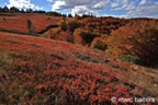 cevennes, automne, 2025,